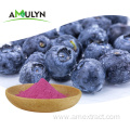 Blueberry Fruit Juice Extract Powder